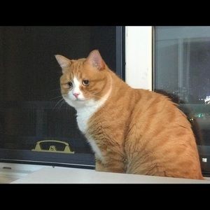 Meet your Posher, Zhanchao